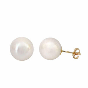 Earrings - Pearl Studs #553